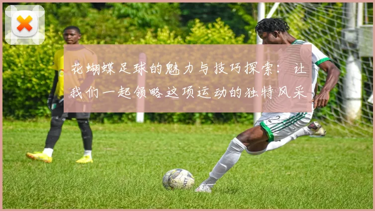 花蝴蝶足球的魅力与技巧探索：让我们一起领略这项运动的独特风采与乐趣
