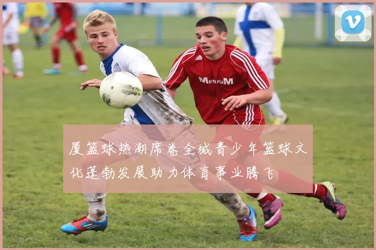 厦篮球热潮席卷全城青少年篮球文化蓬勃发展助力体育事业腾飞