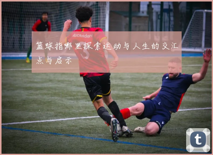 篮球指哪里探索运动与人生的交汇点与启示