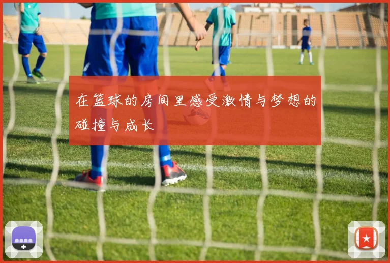在篮球的房间里感受激情与梦想的碰撞与成长