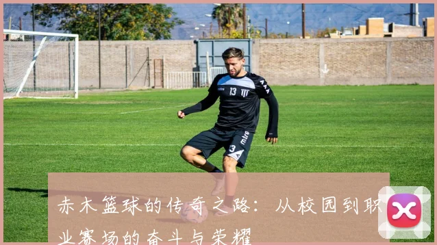 赤木篮球的传奇之路：从校园到职业赛场的奋斗与荣耀