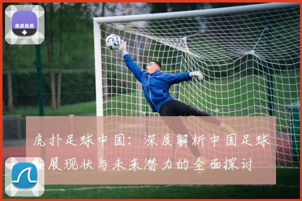 虎扑足球中国：深度解析中国足球发展现状与未来潜力的全面探讨