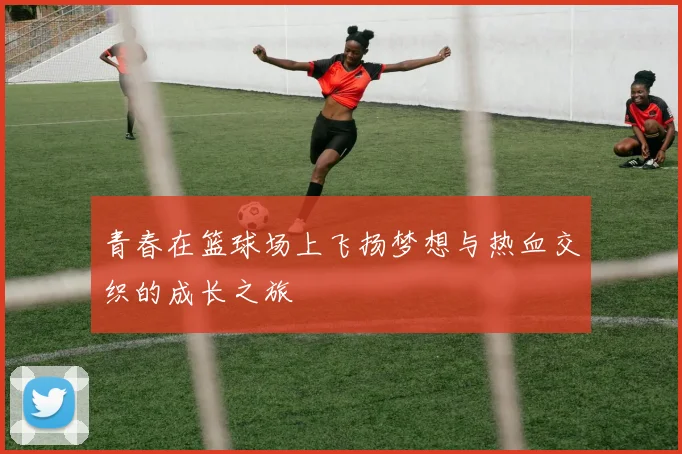 青春在篮球场上飞扬梦想与热血交织的成长之旅