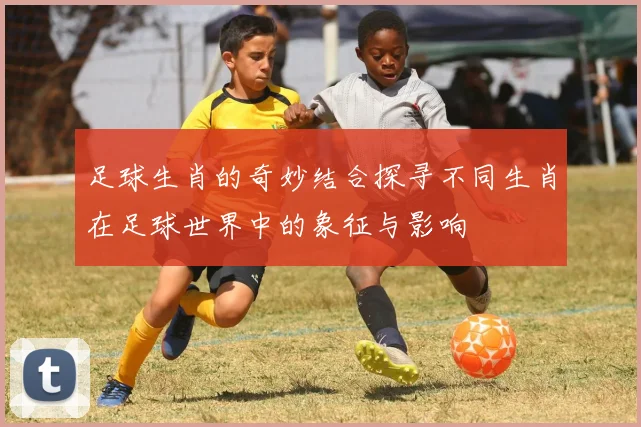 足球生肖的奇妙结合探寻不同生肖在足球世界中的象征与影响